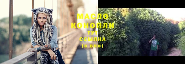 крисы Коряжма