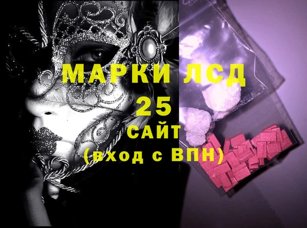 крисы Коряжма