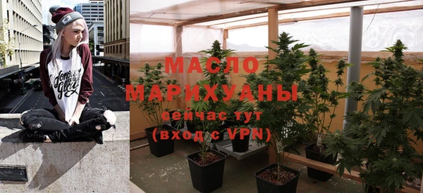 крисы Коряжма