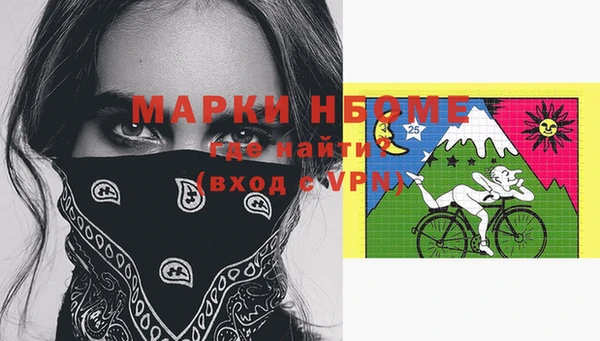 крисы Коряжма