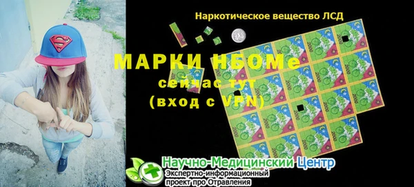 крисы Коряжма